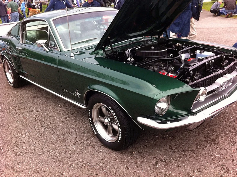 9059114723_7cccc66f41_c.webp