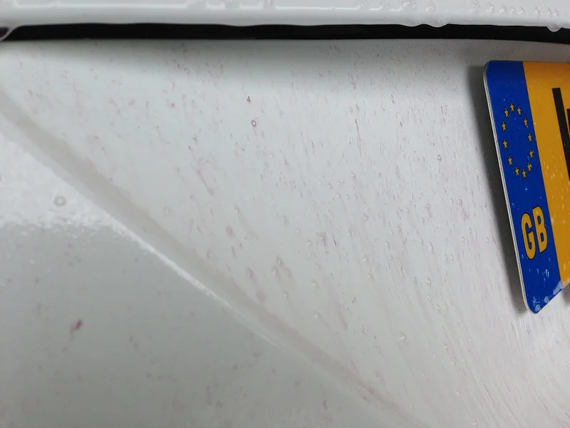 9128757776_ccd0013d6e_c.webp