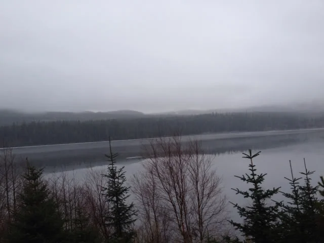 927c5d4a.webp