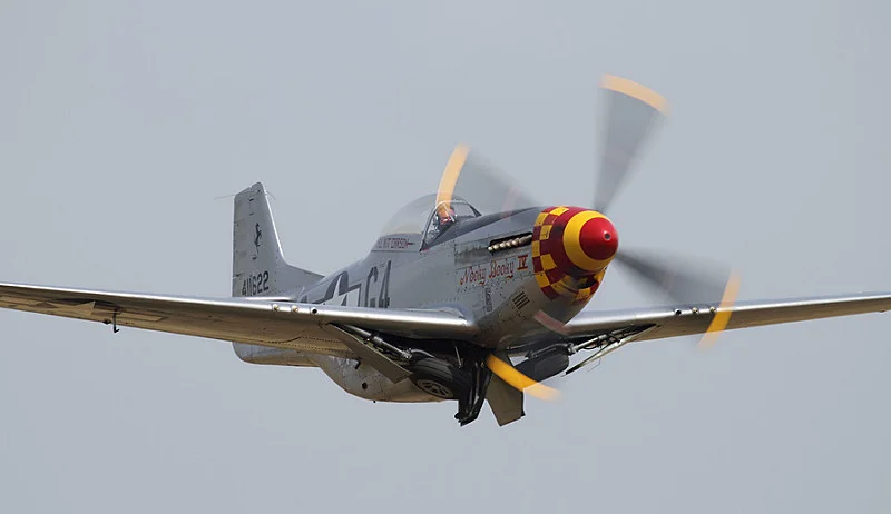 9296118614_9c184c8c9c_c.webp