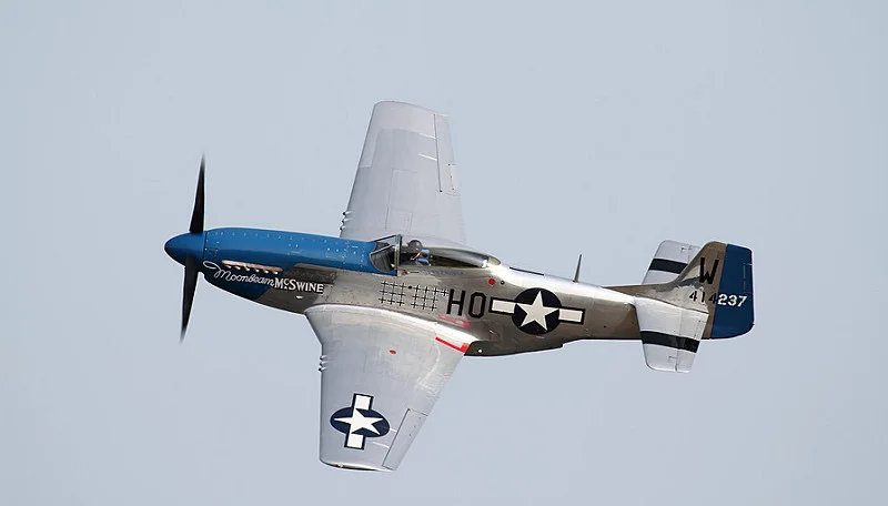 9303726046_a25533d9ae_c.webp