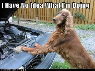 93761d1383596911-i-have-no-idea-what-im-doing-funny-dog-pictures-i-have-no-idea-what-im-doing.webp