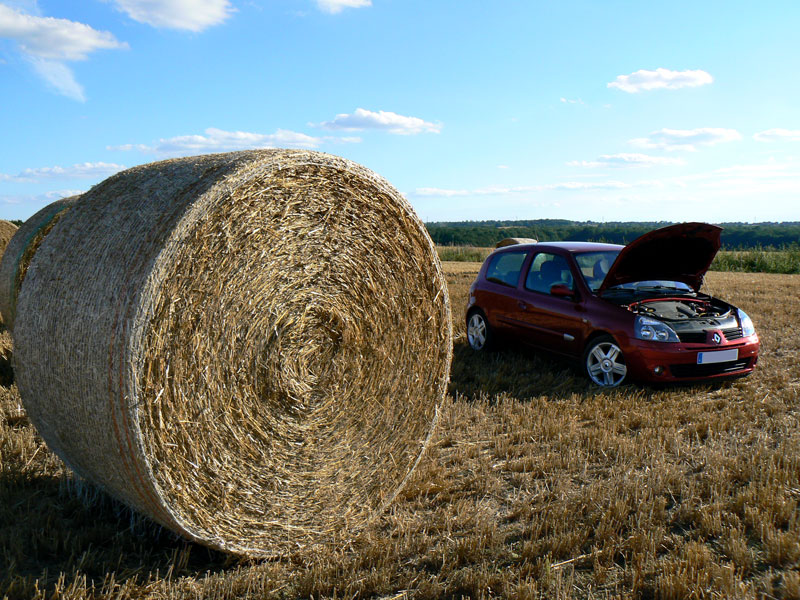 978284P1130360.jpg 978284P1130360.jpg