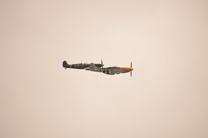 9783205223_d5b2e1c3d3_c.jpg