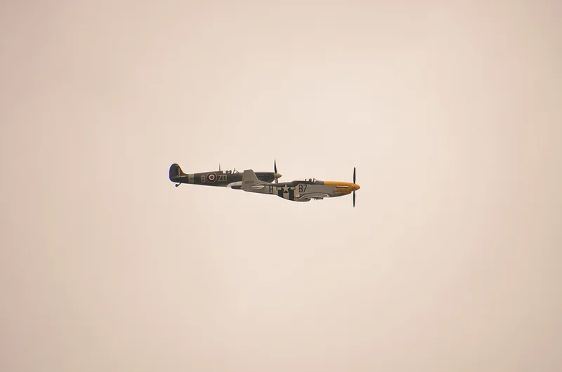 9783205223_d5b2e1c3d3_c.webp