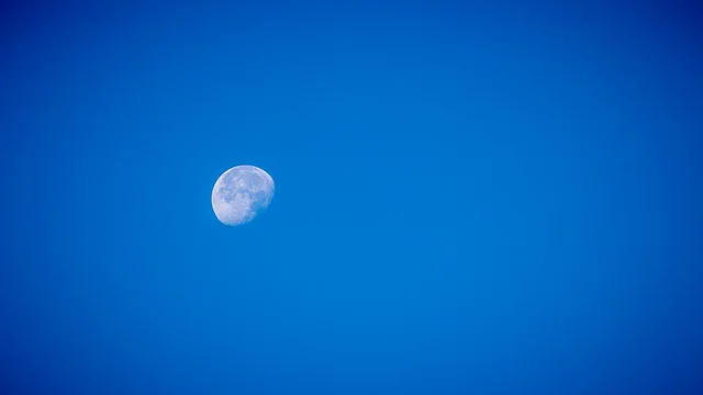 9892854264_652609ec78_z.webp
