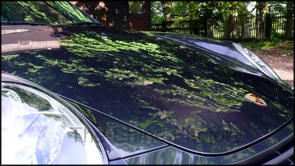 997Turbo053.jpg
