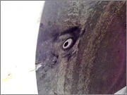 9_rupa.webp