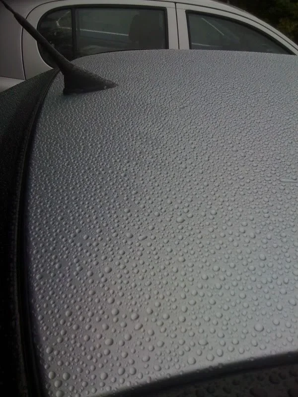 9a1e2075.webp