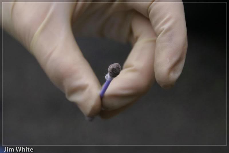 9abb2019.jpg 9abb2019.jpg