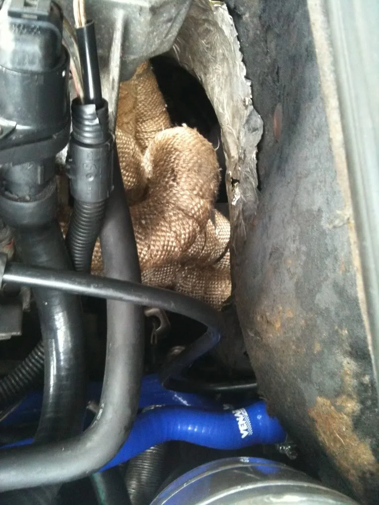 9c155a3a.webp