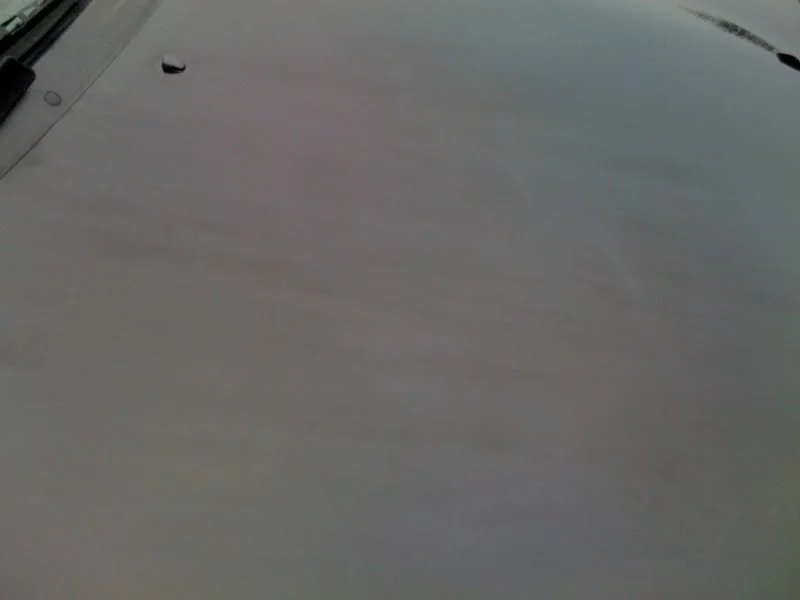 9e557e2c.webp