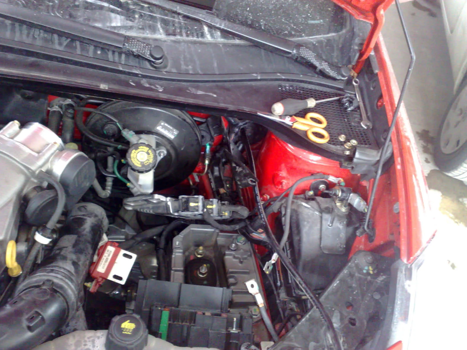 9lkfnp.webp