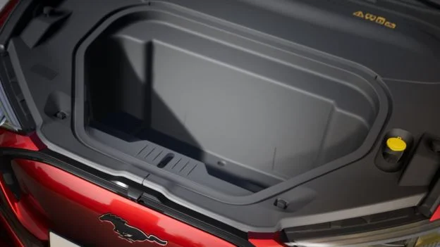 _109729691_ford_mustang_mach-e_front_space_19.webp