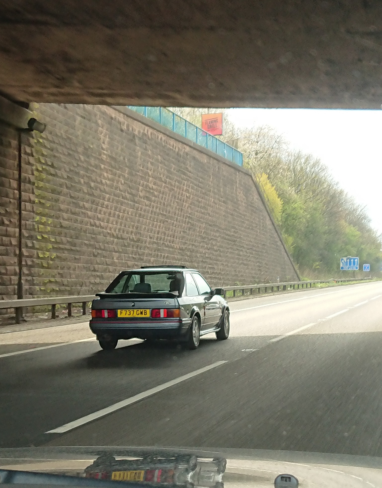 _20230422_170913.JPG
