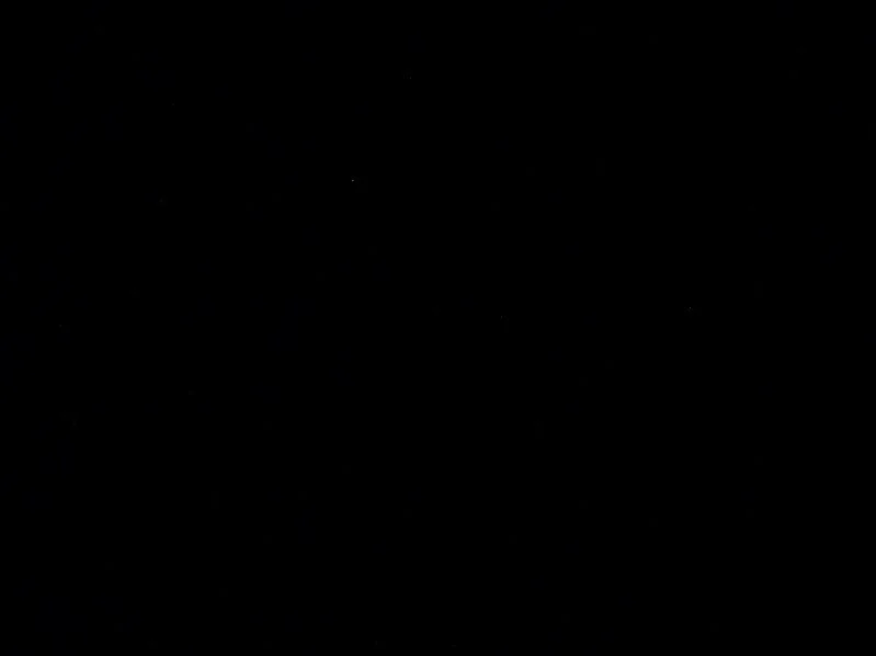 _3300015.webp