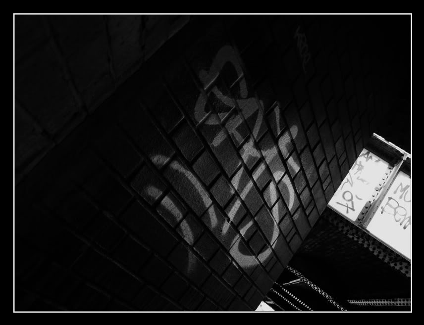 _8020102.jpg