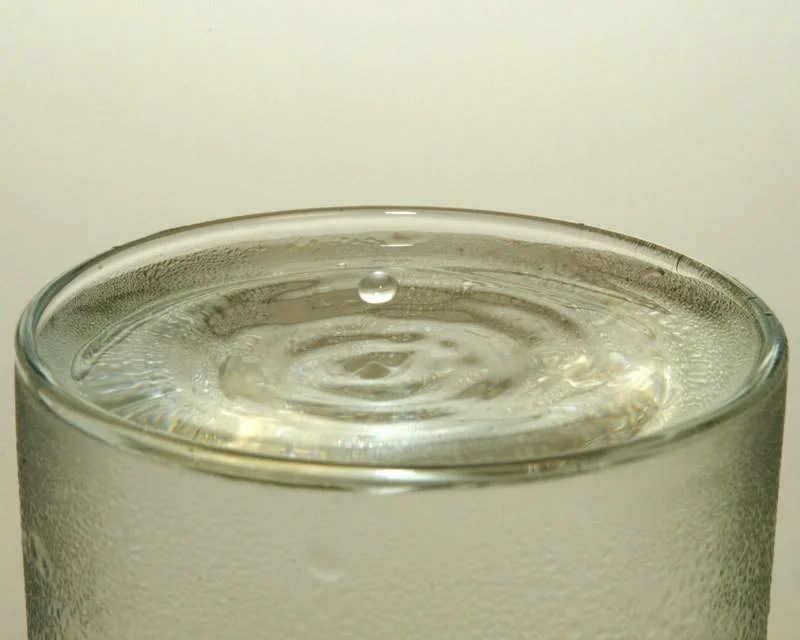 _DSC0102.webp