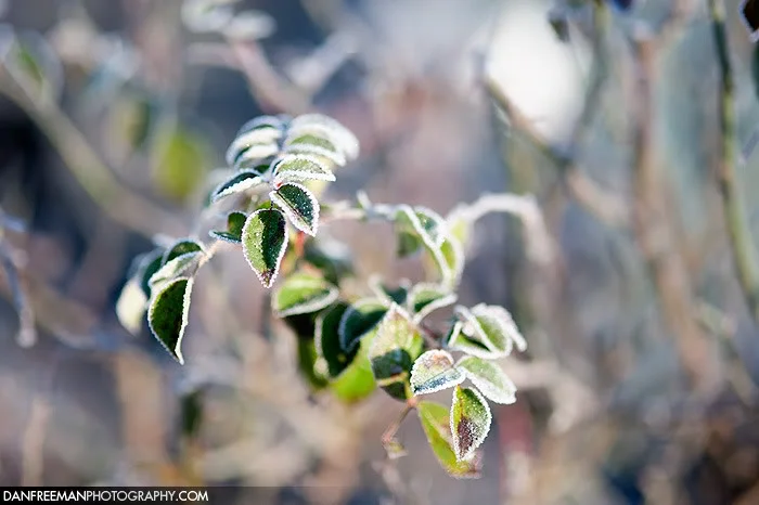 _DSC1641.webp