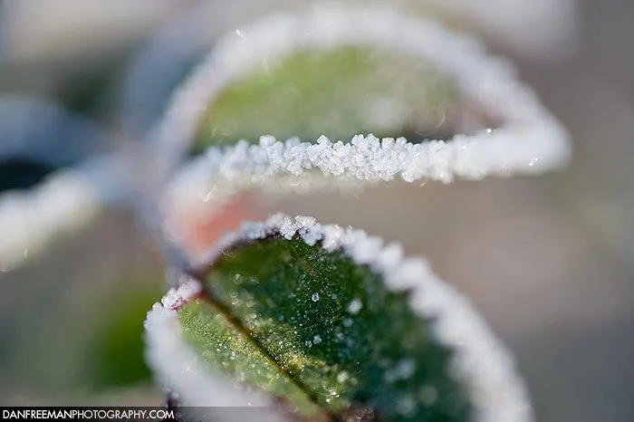 _DSC1644.webp