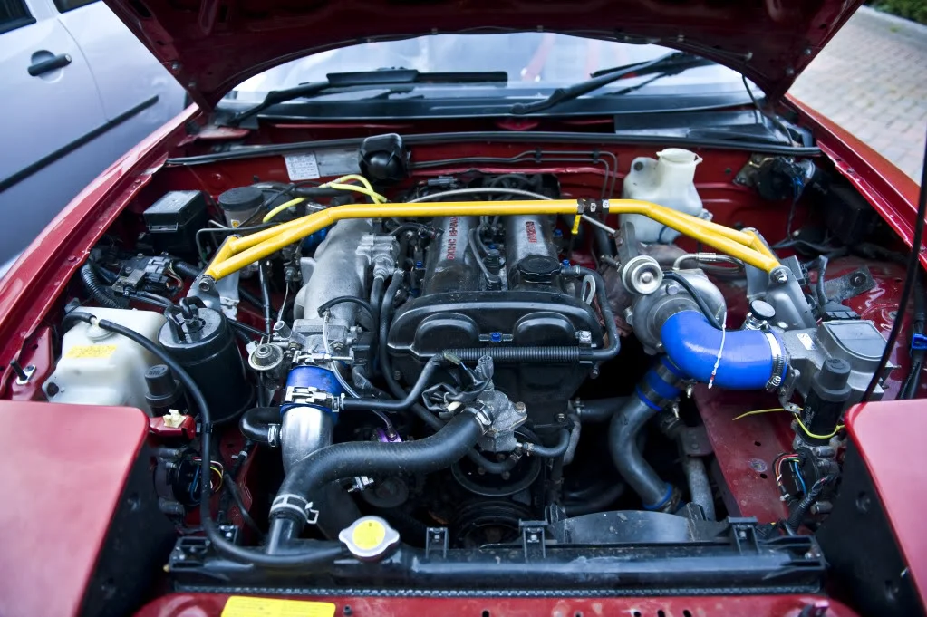 _DSC4547.webp