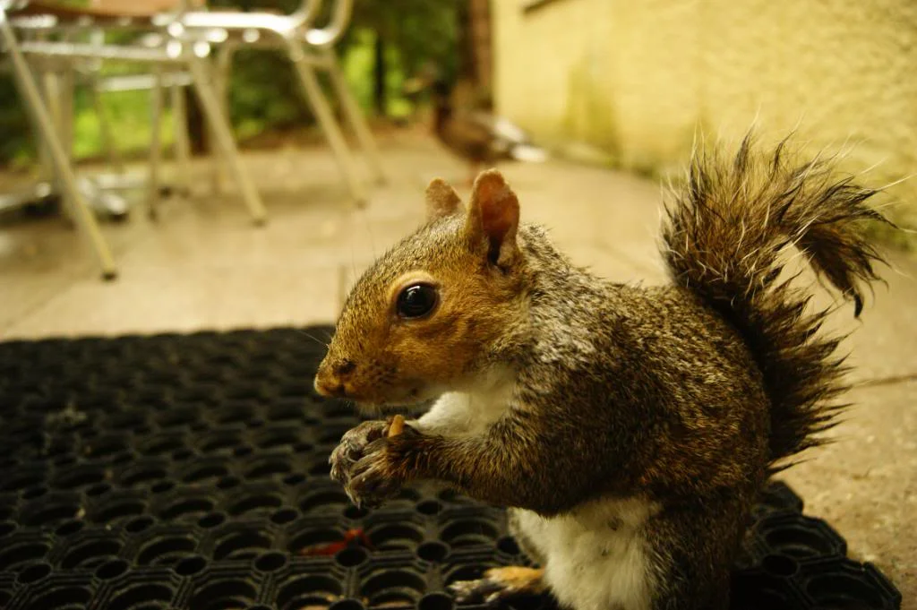 _DSC5914.webp