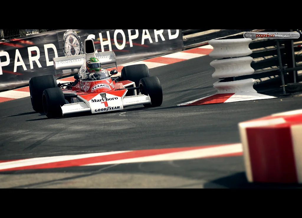 _DSC6316.webp