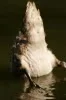 _MG_9134.webp