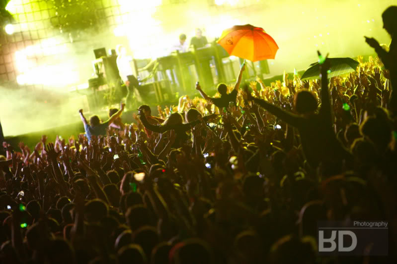 _YAN1373.jpg _YAN1373.jpg