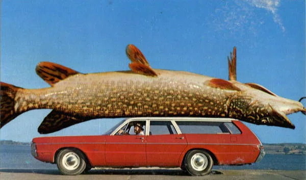 a.aaa-caught-the-big-one.webp