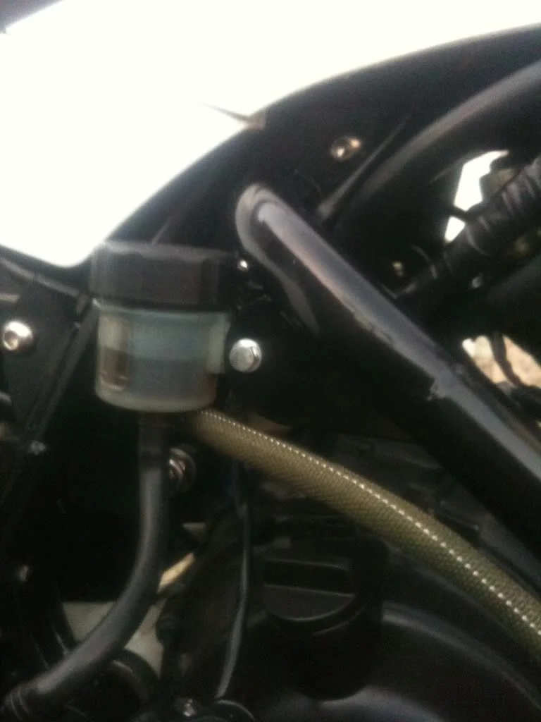 a3a5448c.webp