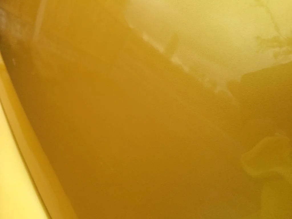 AB5CA705-24A7-4222-8A37-577282B38A95_zps1sl4wm2x.webp