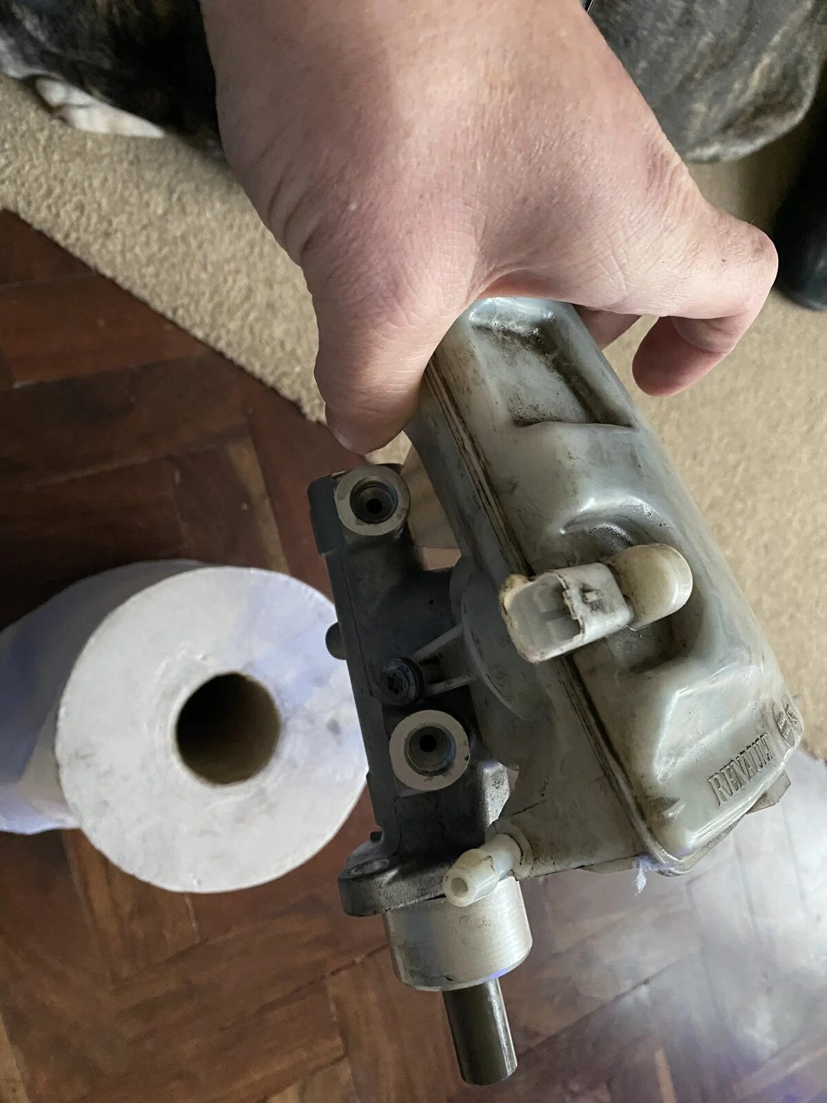 AB800B7A-7856-4E71-A2C4-3FCCBCBC4768.webp