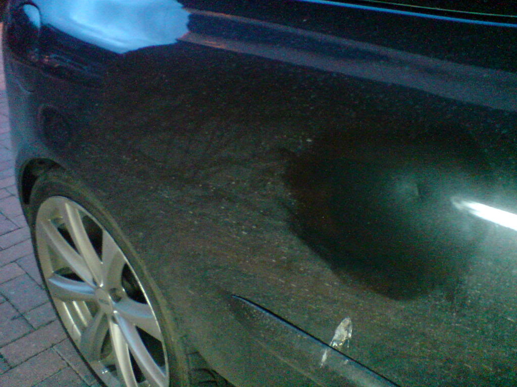 ABCD0016.jpg ABCD0016.jpg