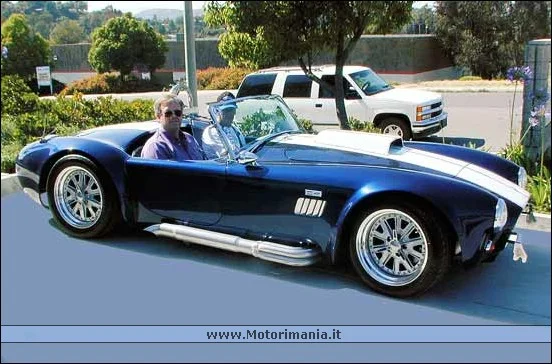 Ac.Cobra.1.webp