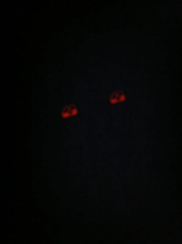 ac7bd771.webp