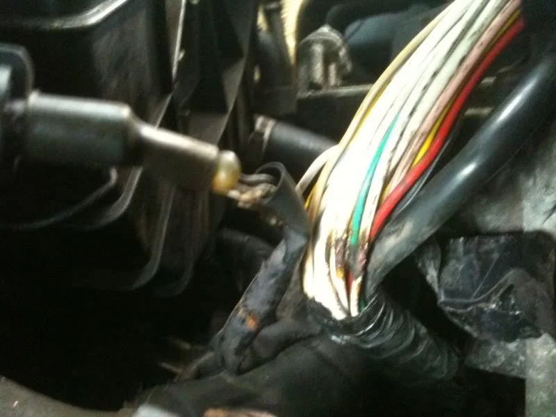 ad8b777b.webp