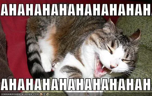 AHAHAHAHAHAHAHAH128387531598778750.webp