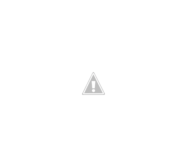 Alfa.webp
