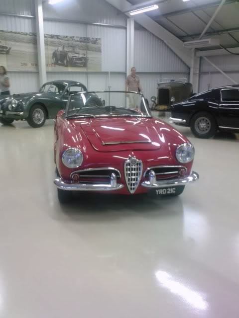 alfa2.jpg