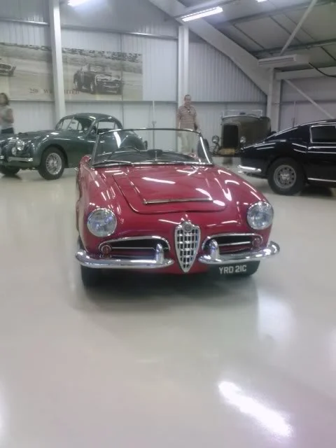 alfa2.webp
