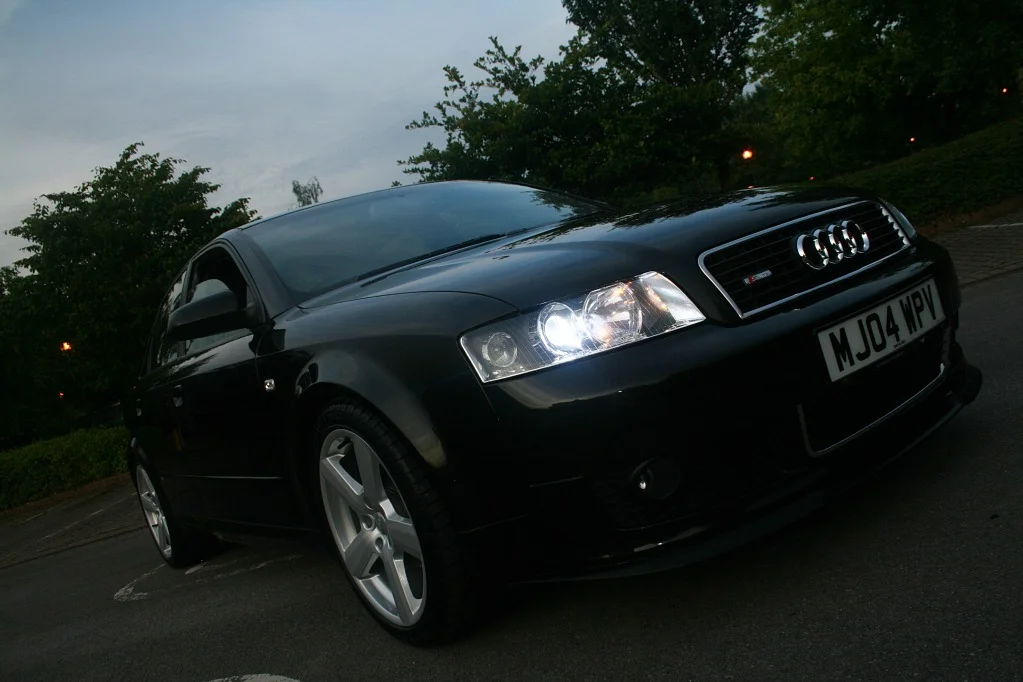 ali1.webp