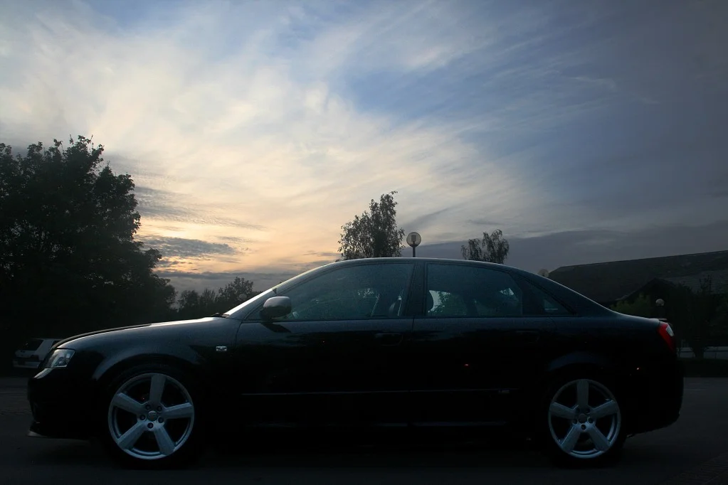 ali2.webp