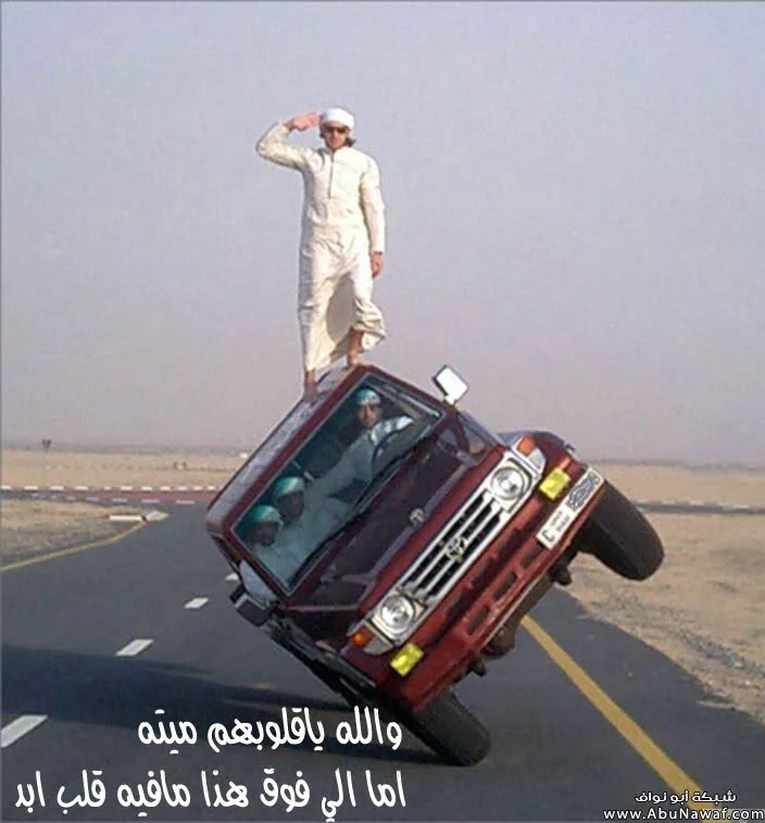 arabdaredevils.webp