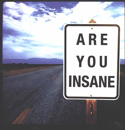 Areyouinsane.webp