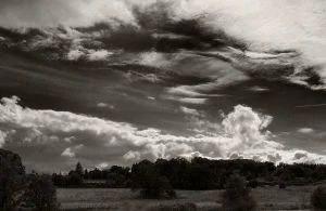 Arley_by_StuMac1985.webp