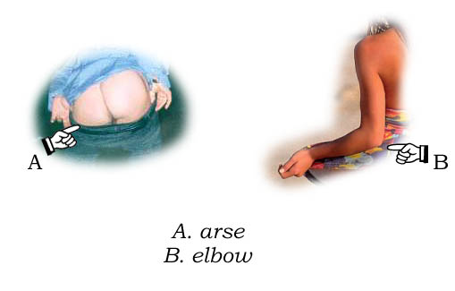 arse-elbow.jpg