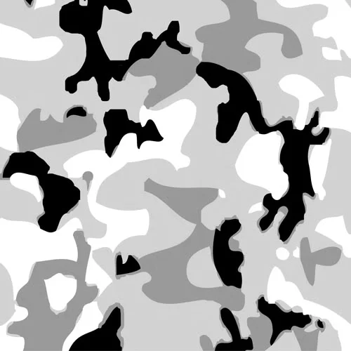 articcamo.webp