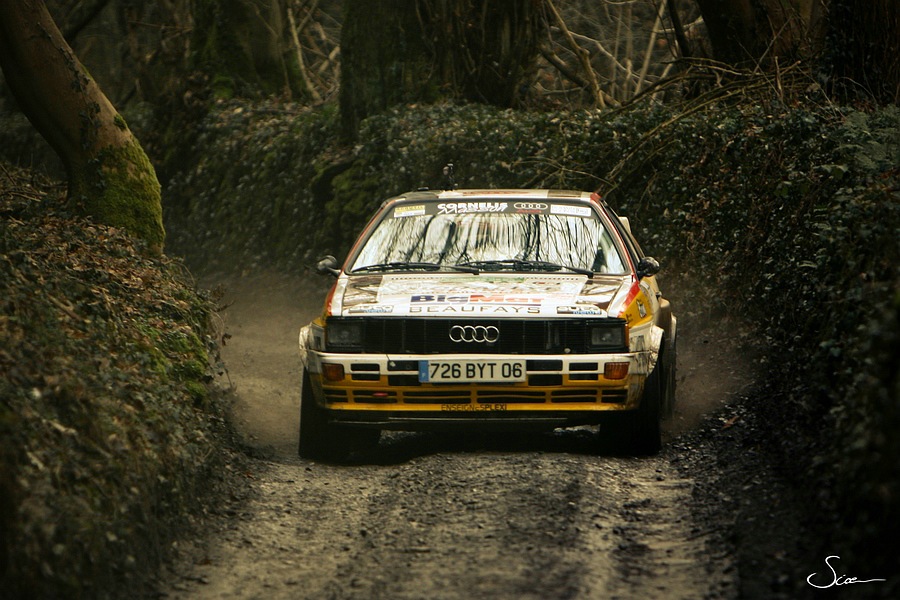 audi_quattro_rally.jpg
