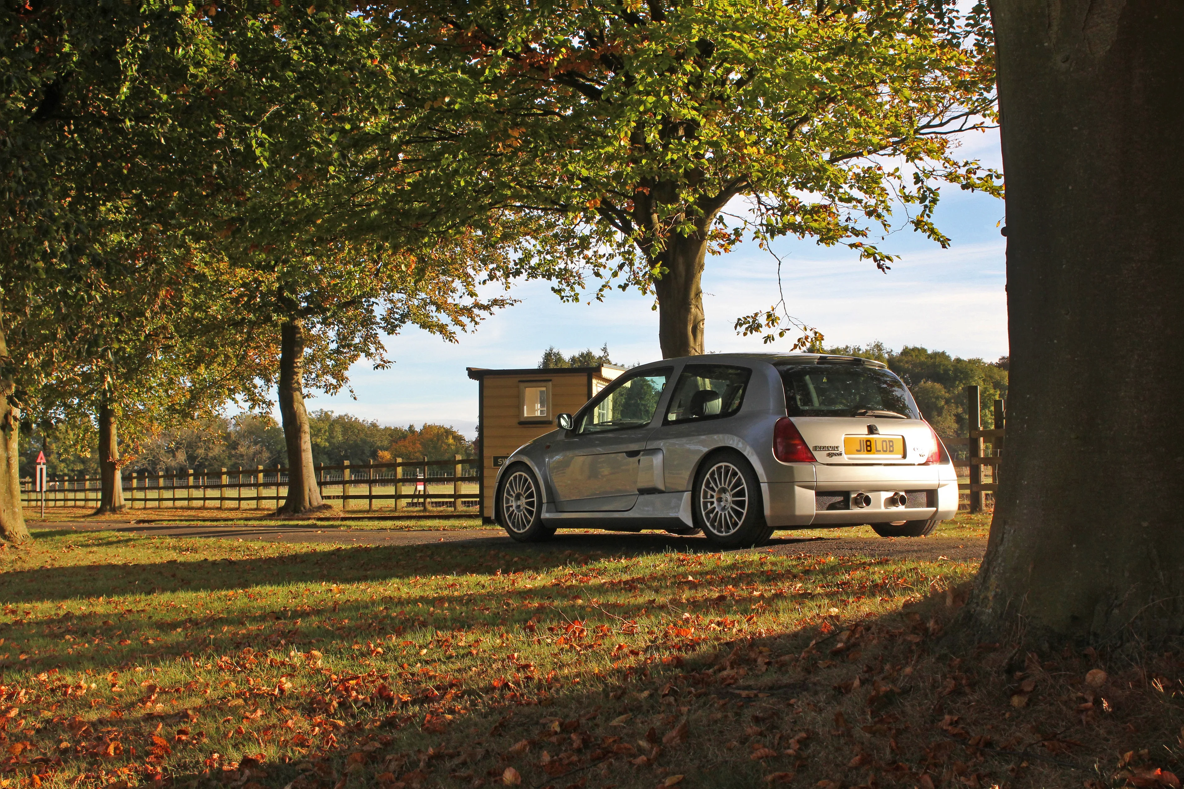 Autumn Colour.webp